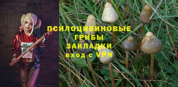 прущий лед Алзамай