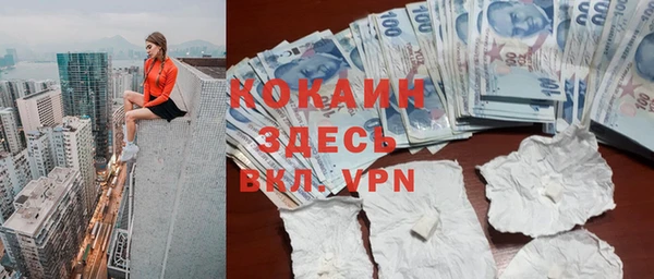 прущий лед Алзамай