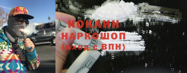 прущий лед Алзамай